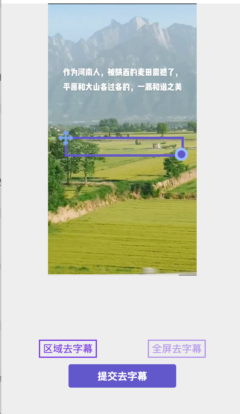 小豆AI助手视频去字幕框选区域界面截图